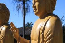 Estatua Templo Budista Foz
