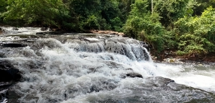 cachoeira do boicy